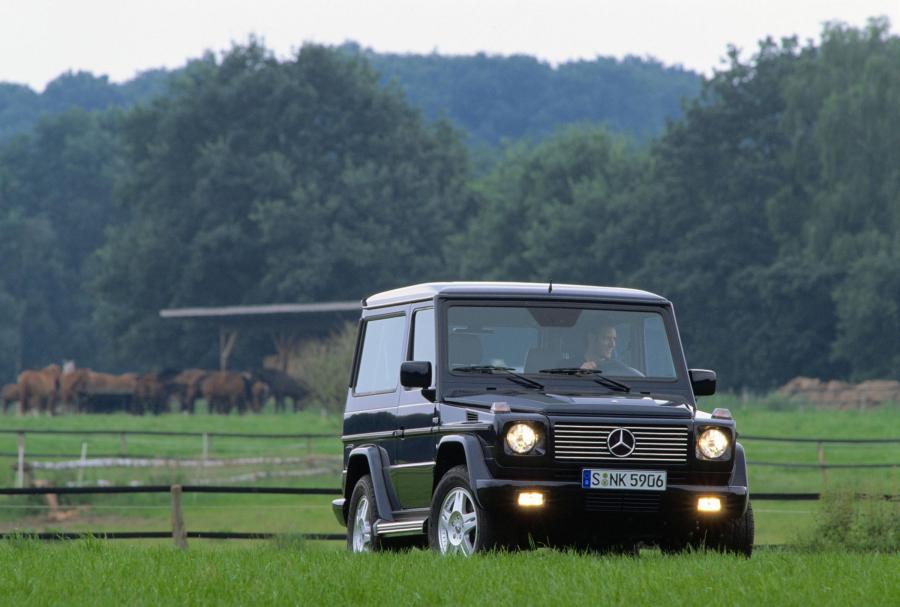  Mercedes-Benz G-Class 1990 года  (фото 221 из 260)